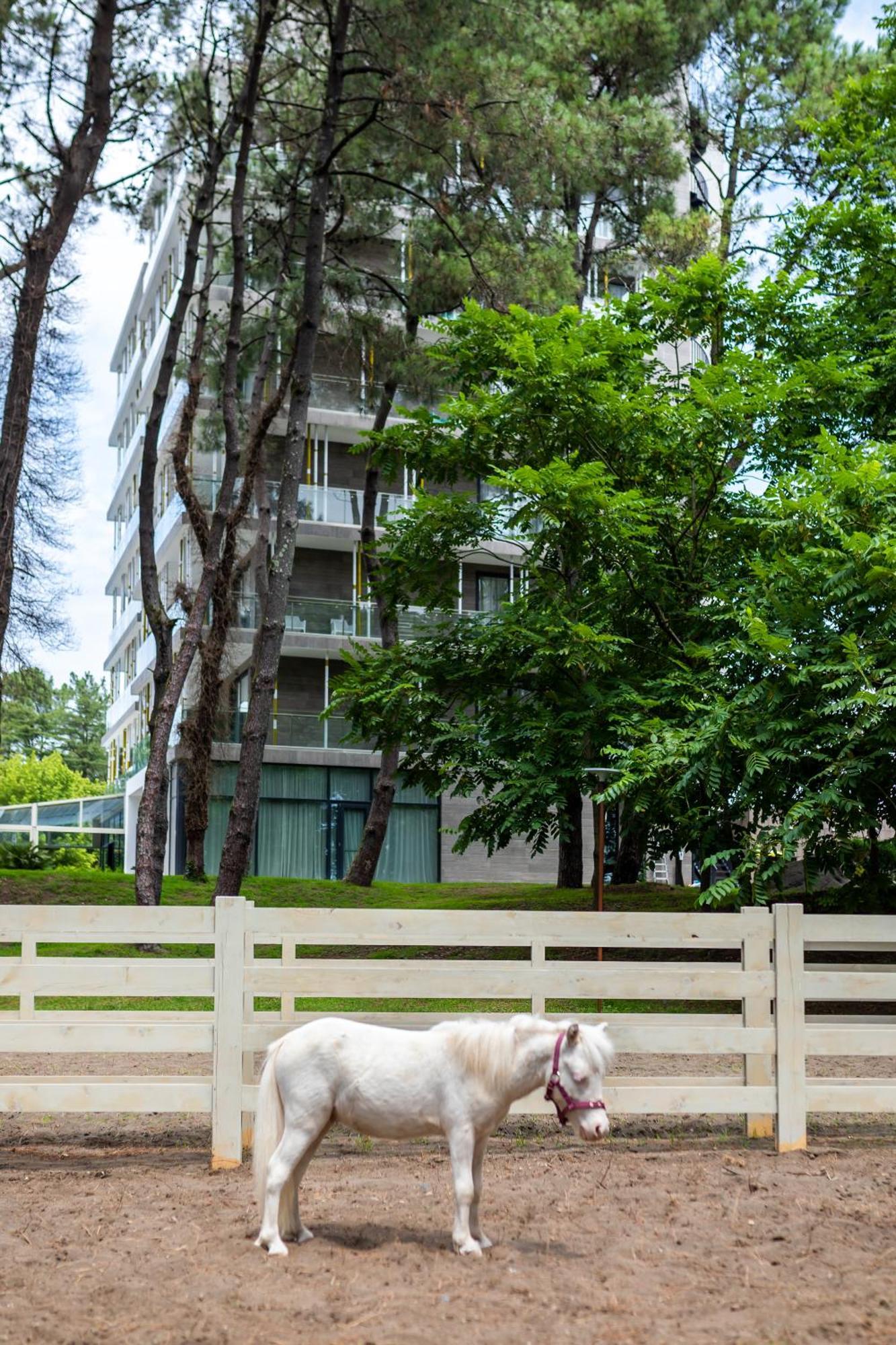 Magnika Resort Шекветили Экстерьер фото