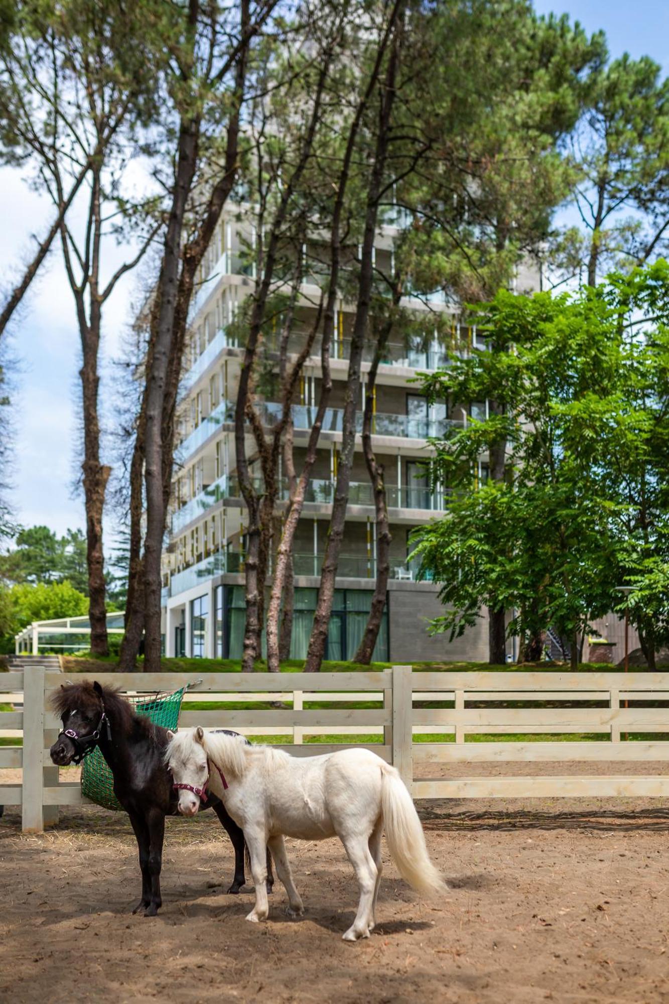 Magnika Resort Шекветили Экстерьер фото